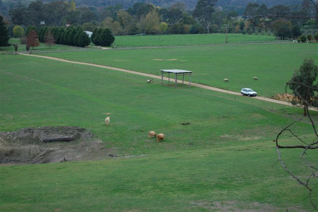 pasture.jpg