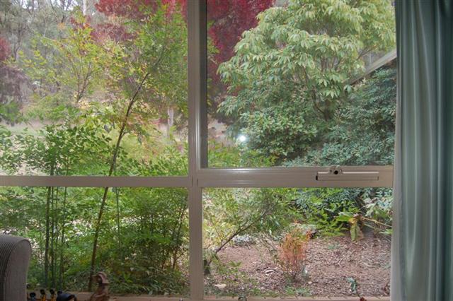 window2.jpg